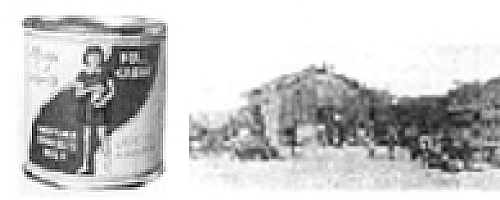 1917年，明治乳業的前身，極東煉乳